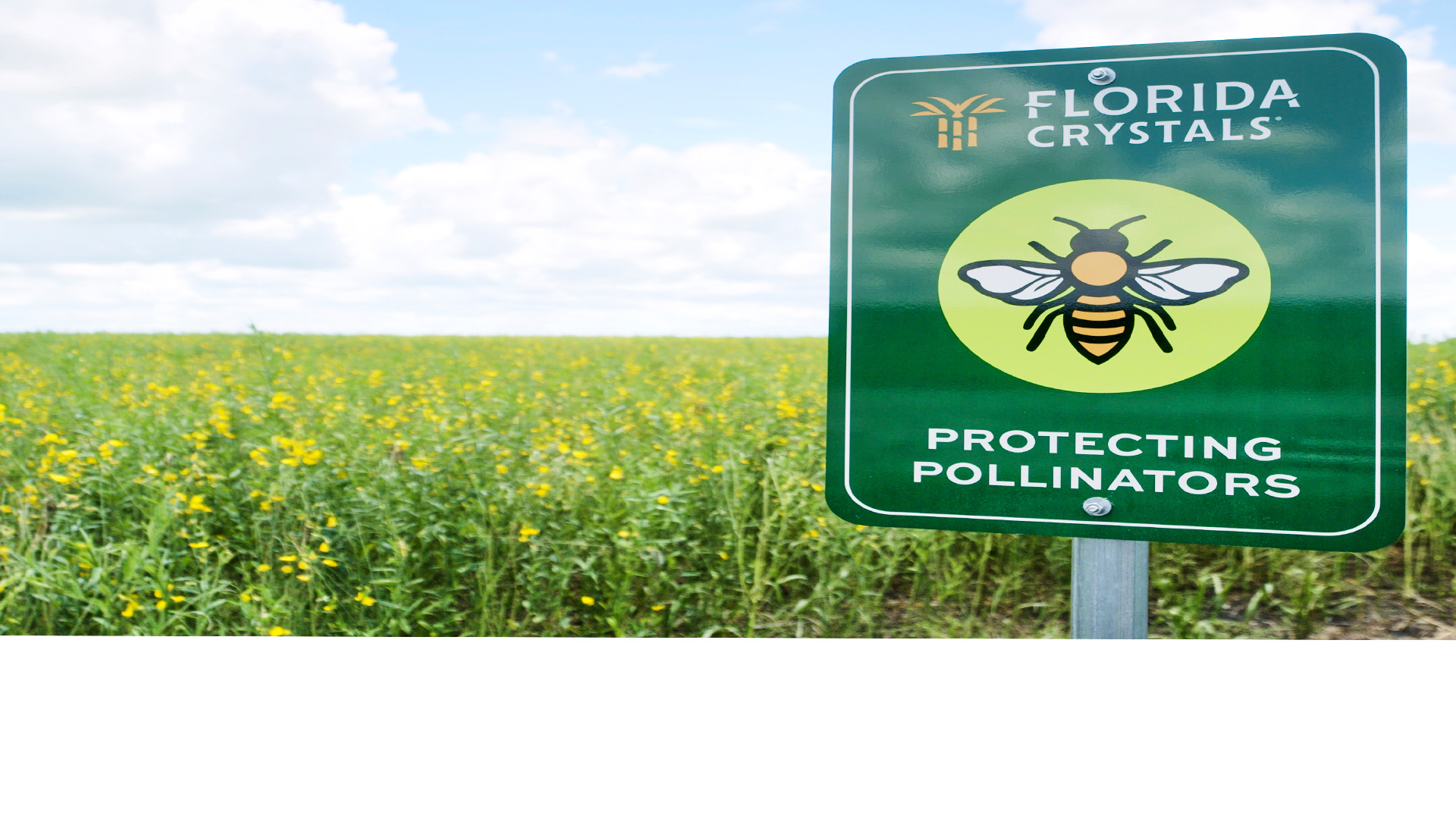 Protecting Pollinators